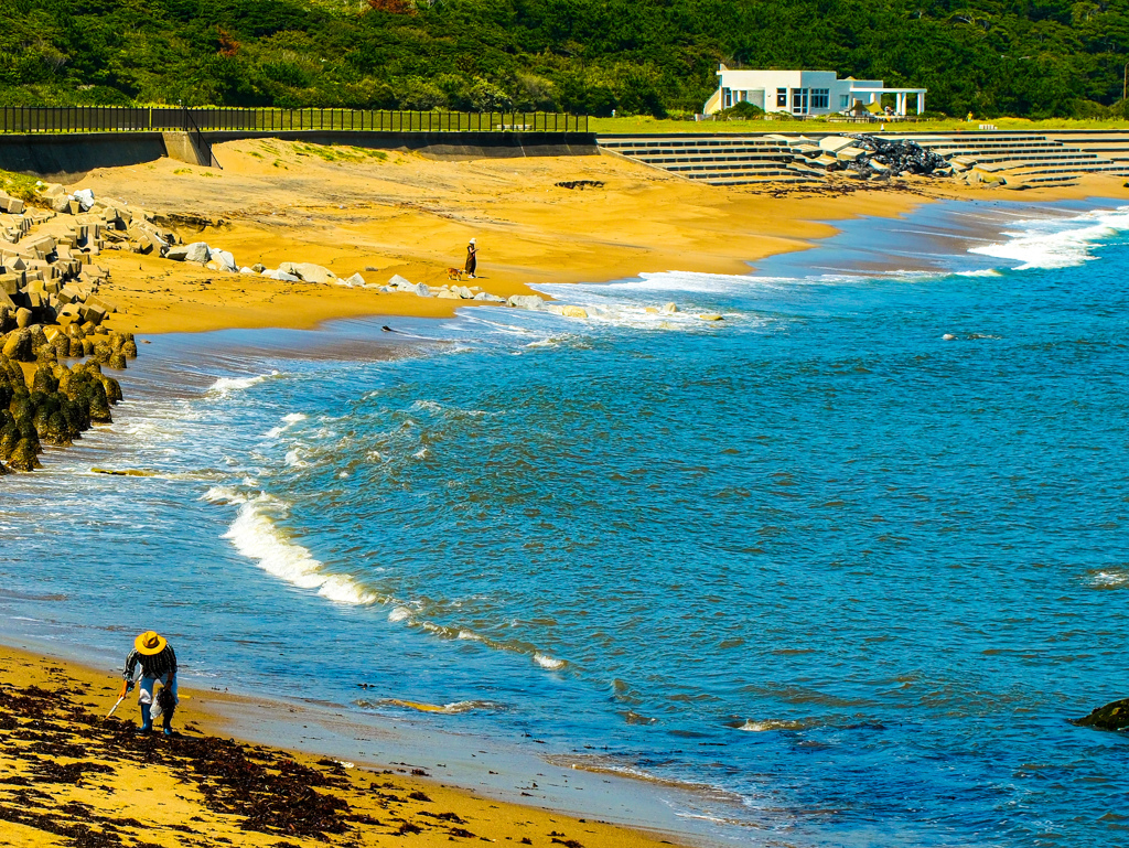 海辺の日常