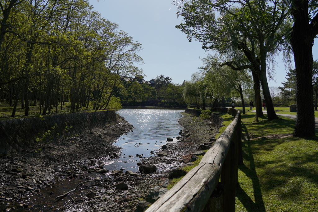 荒池園地（奈良公園）