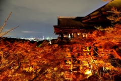 夜の清水の舞台