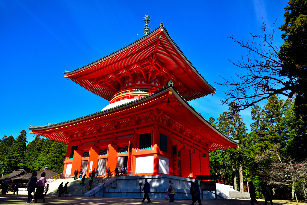 高野山　金剛峯寺　根本大塔