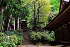 室生寺　本堂と五重塔