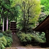 室生寺　本堂と五重塔