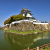 岸和田城