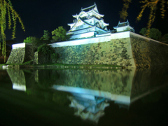 夜の岸和田城
