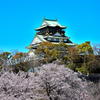 大阪城と桜