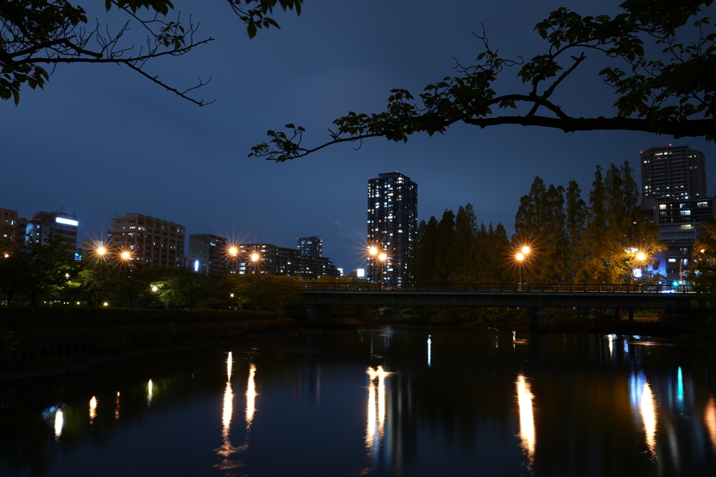 水の都②