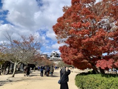 松山城