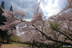 北のGW