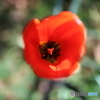 Zeiss Milvus 1.4/25 sample 004