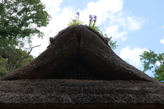 新建築デザイン