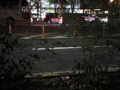 P9060015