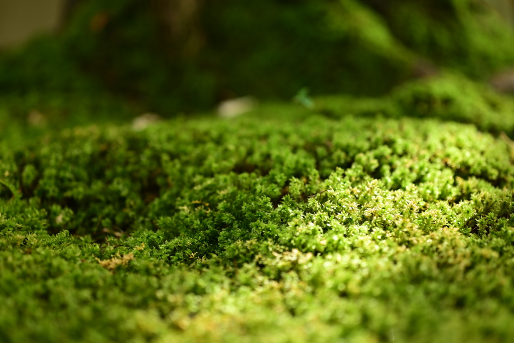 令和６年８月１７日の撮影