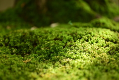 令和６年８月１７日の撮影