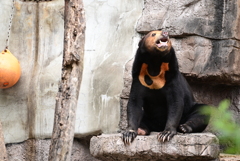 令和6年８月１０日の撮影⑧