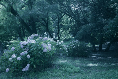 DSC_0461 レタッチ　ブリーチ