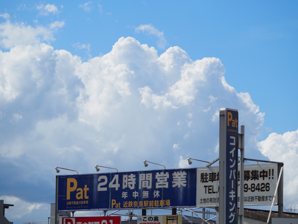 P7190030