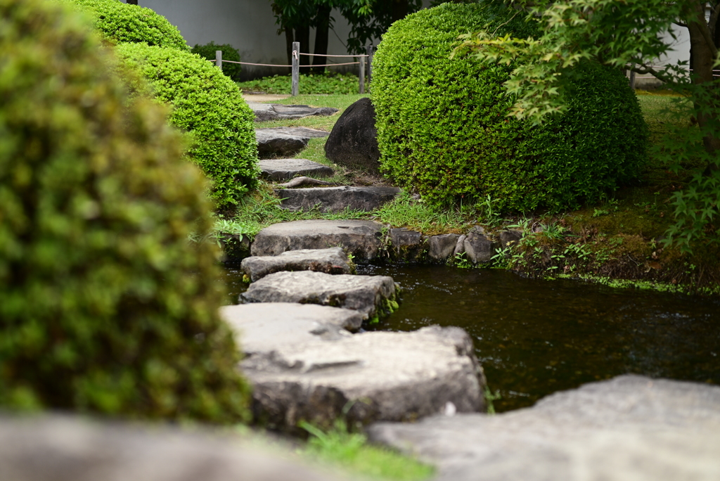 令和６年８月１７日の撮影