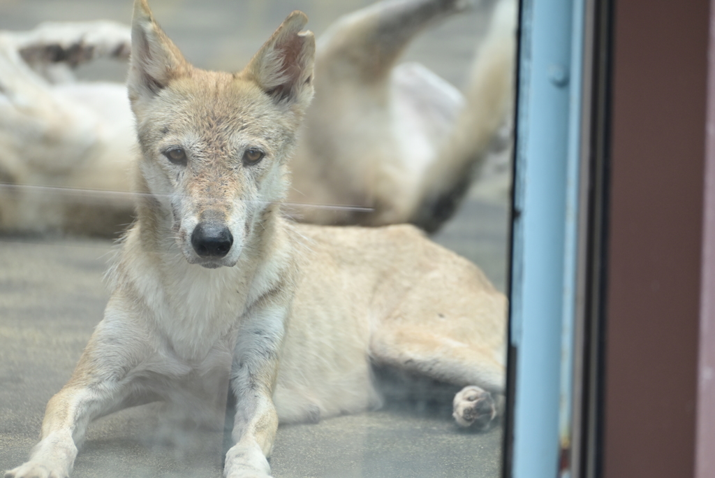 令和6年８月１０日の撮影㉛