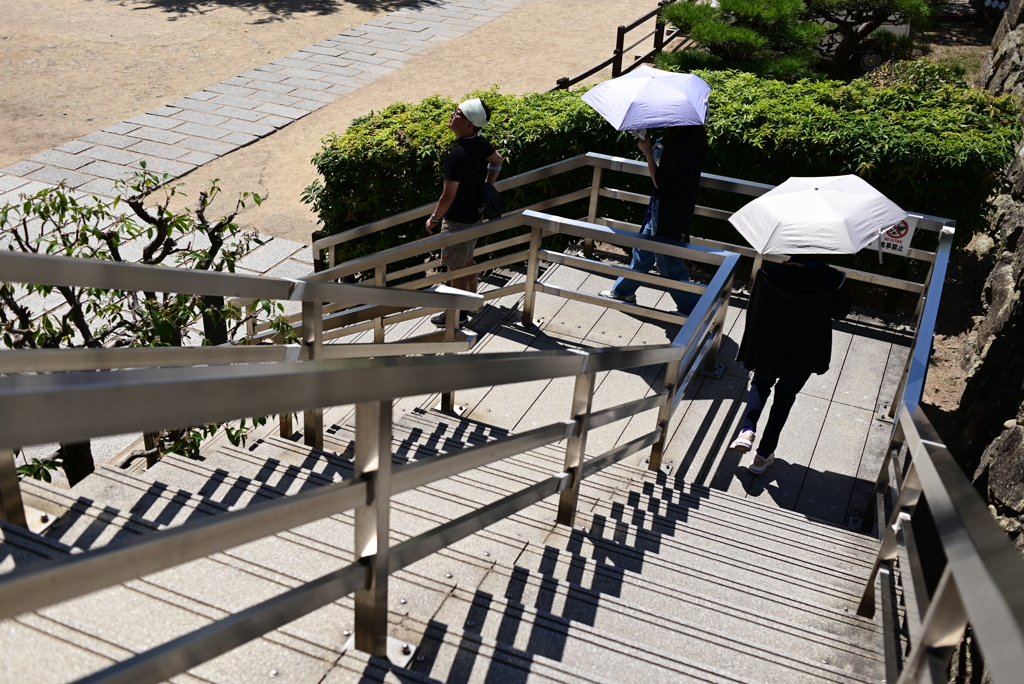 令和６年８月１７日の撮影