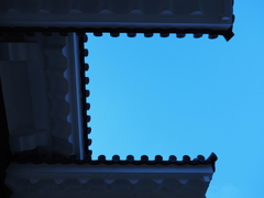 令和６年８月２４日の撮影