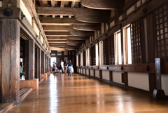 令和６年８月１７日の撮影