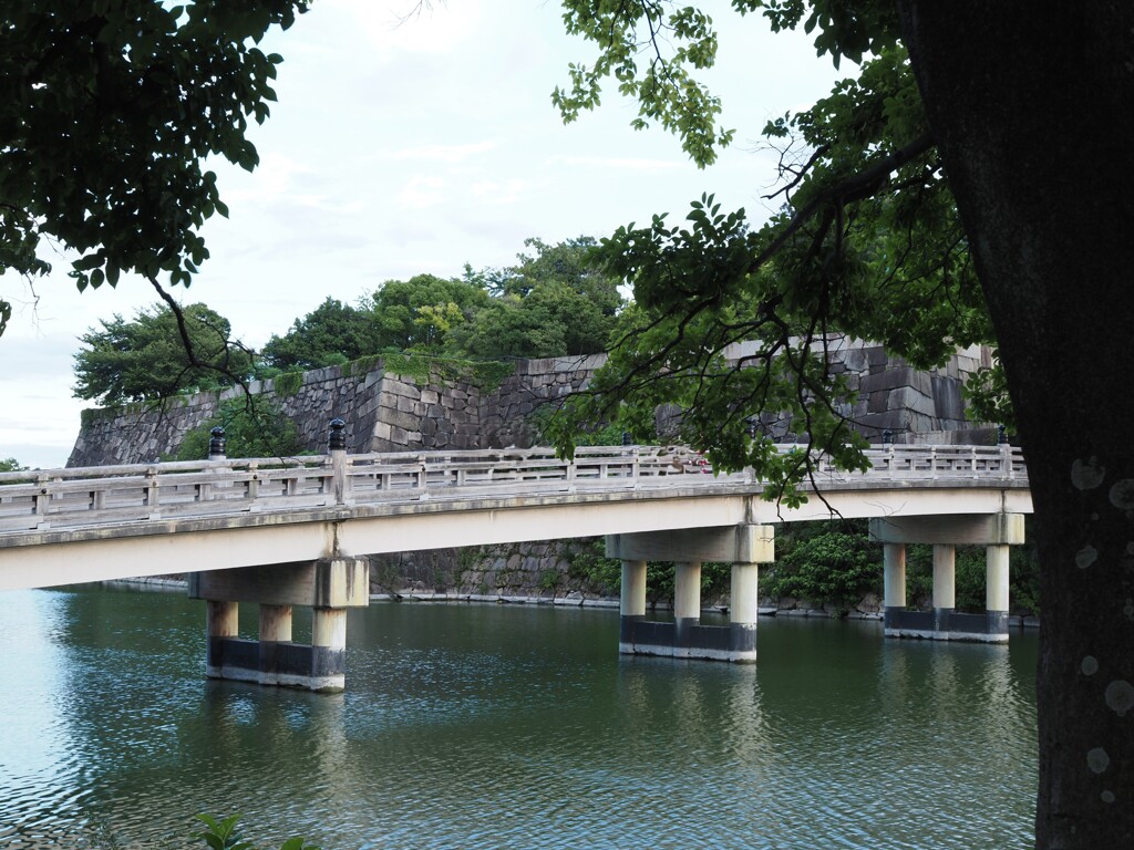 令和６年８月２４日の撮影