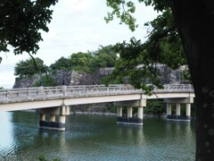 令和６年８月２４日の撮影