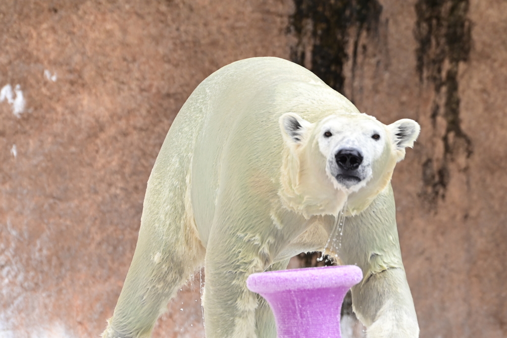 令和6年８月１０日の撮影⑬