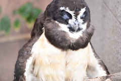 令和6年８月１０日の撮影㉘