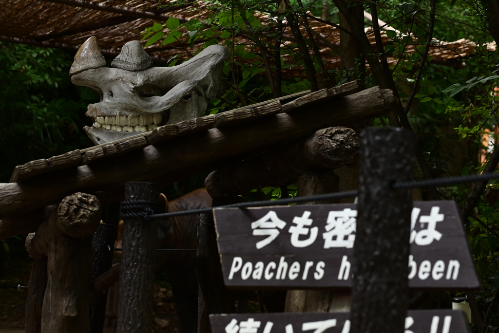 令和6年８月１０日の撮影⑰