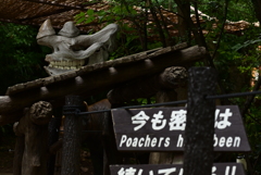 令和6年８月１０日の撮影⑰