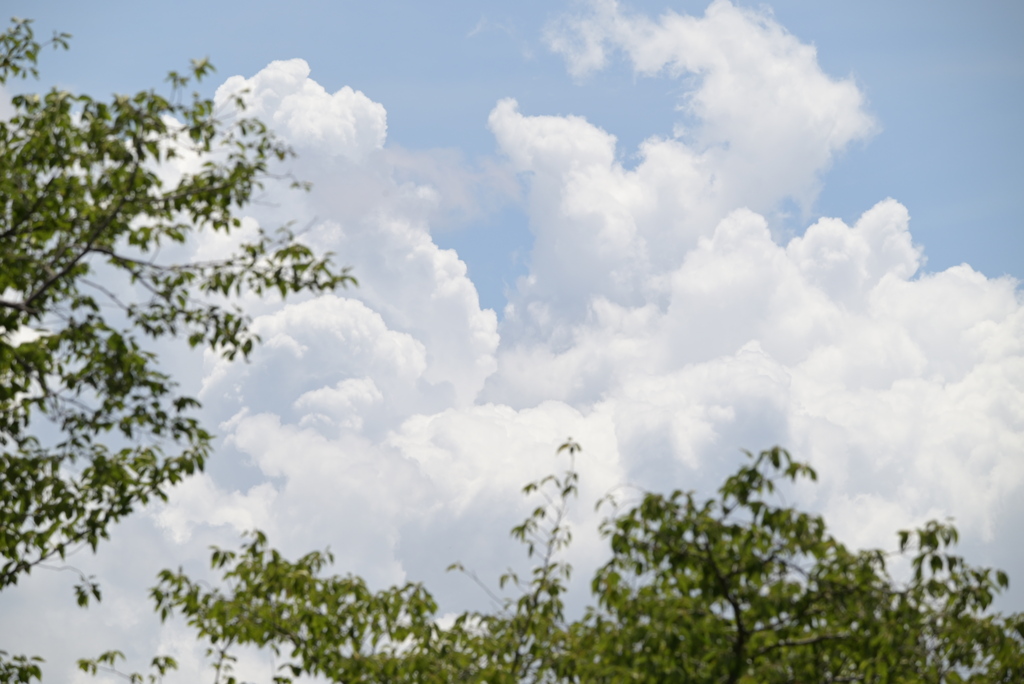 令和６年７月２７日長居公園　⑰