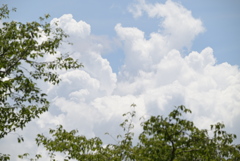 令和６年７月２７日長居公園　⑰