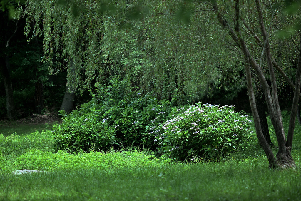 DSC_050　レタッチ