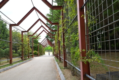 大仙公園
