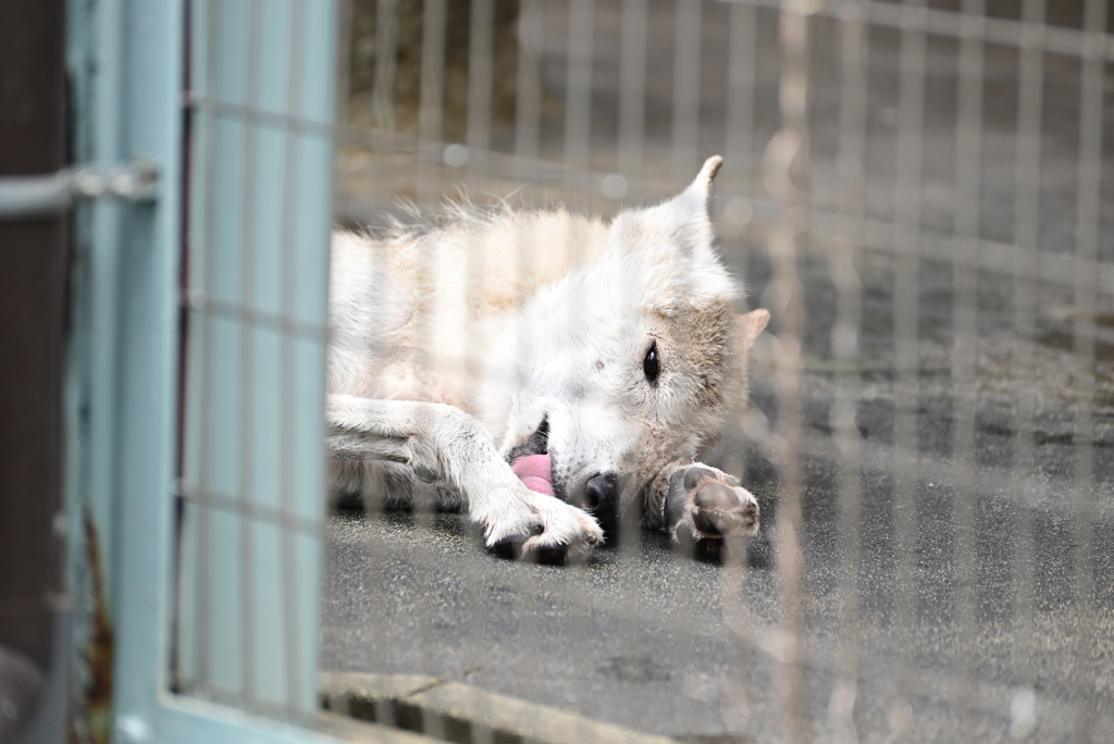 令和6年８月１０日の撮影（42）