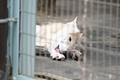 令和6年８月１０日の撮影（42）