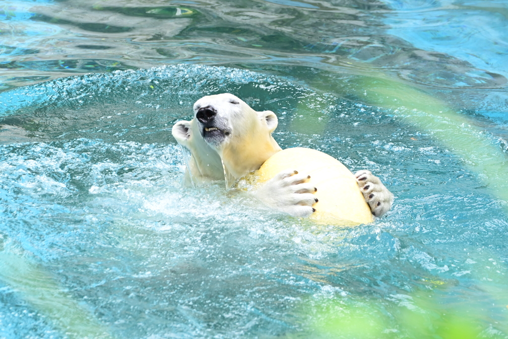 令和6年８月１０日の撮影⑩