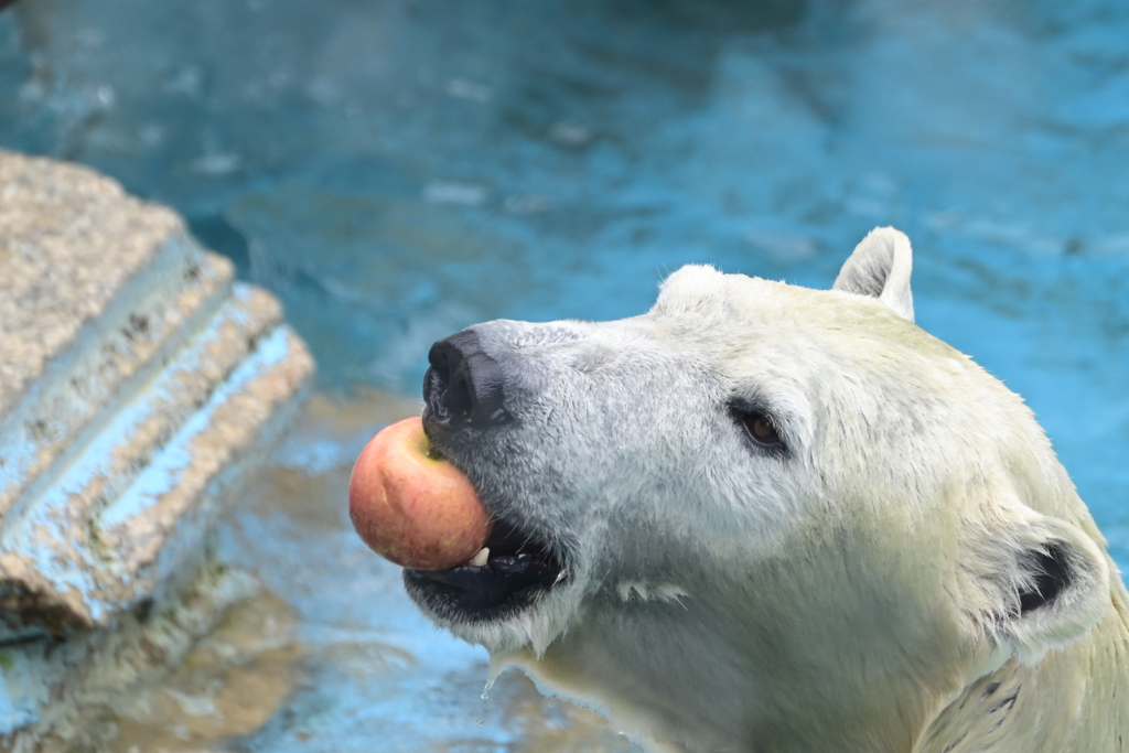 令和6年８月１０日の撮影⑭