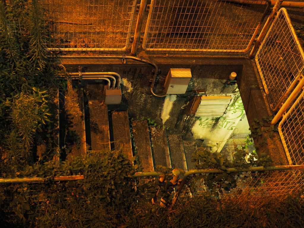 令和６年８月２４日の撮影