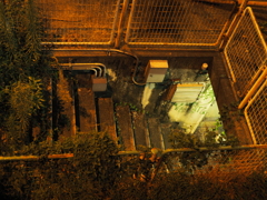 令和６年８月２４日の撮影