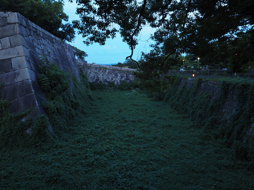 令和６年８月２４日の撮影