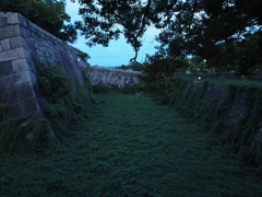 令和６年８月２４日の撮影