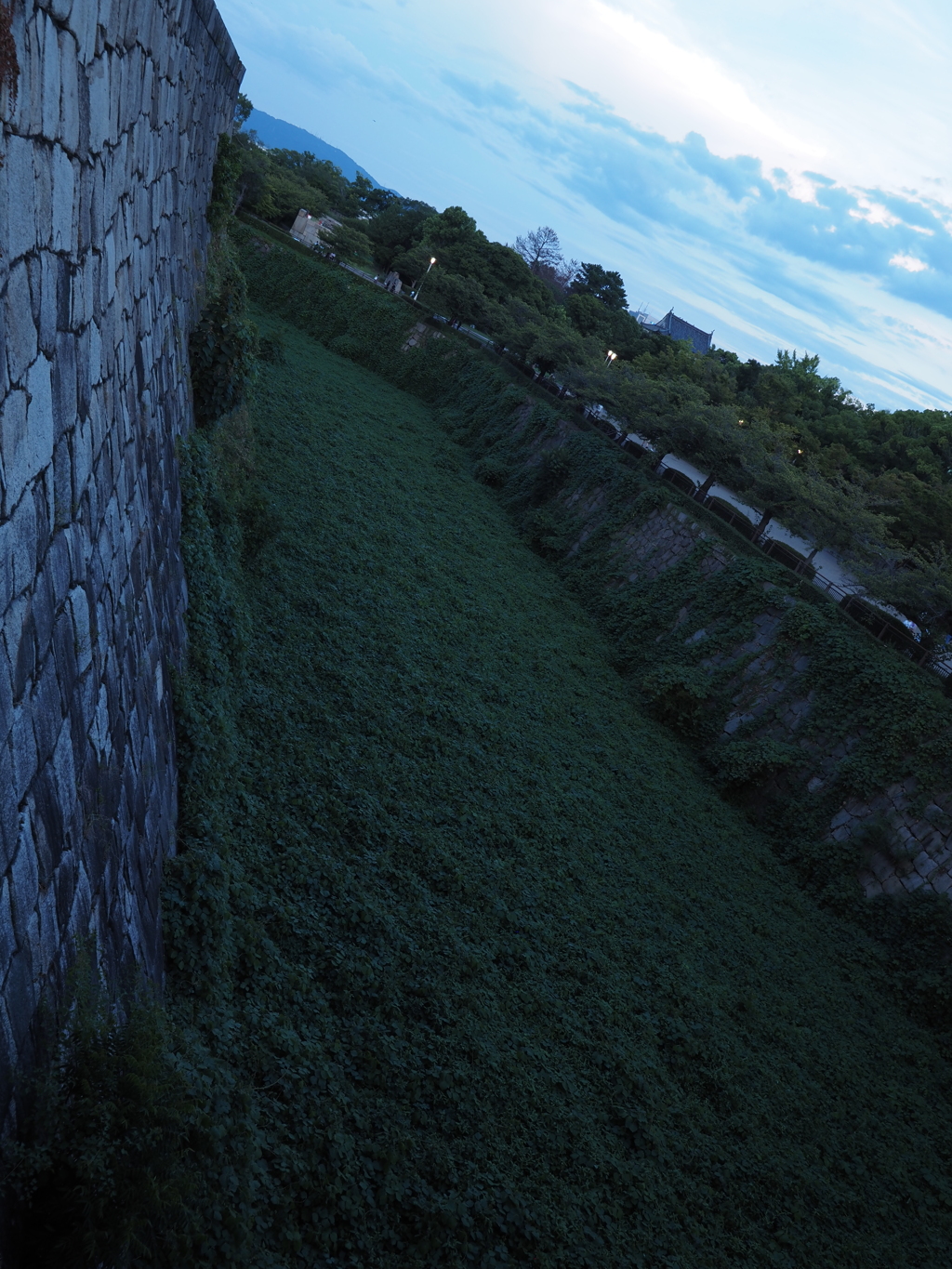 令和６年８月２４日の撮影