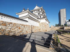 P7262449