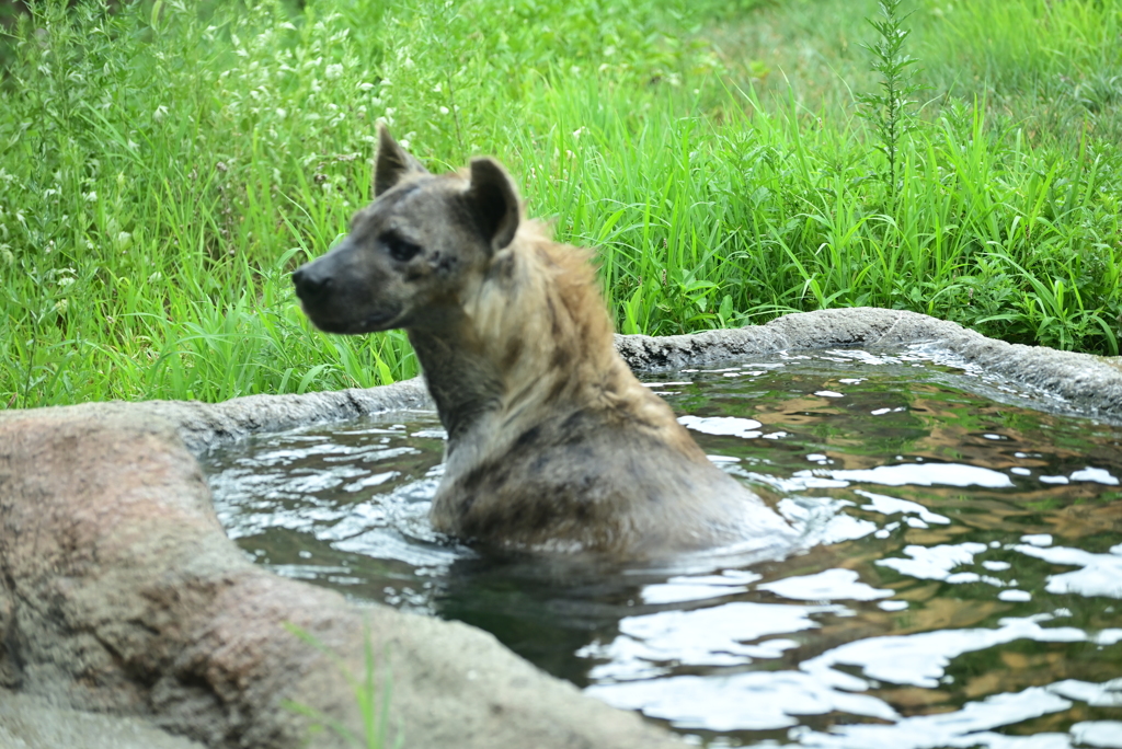 令和6年８月１０日の撮影⑲