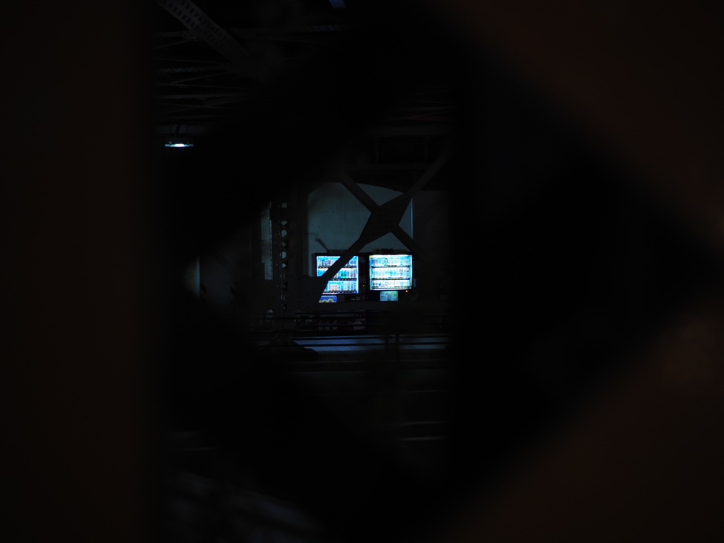 P9060036