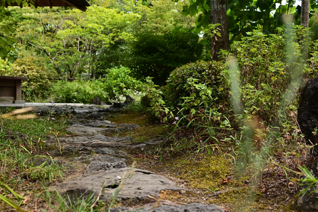 令和６年８月１７日の撮影
