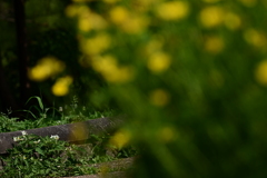 DSC_1069