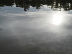 令和６年８月２４日の撮影